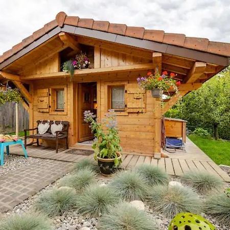 Le Chalet Des 3 Ours Neuvecelle Kültér fotó
