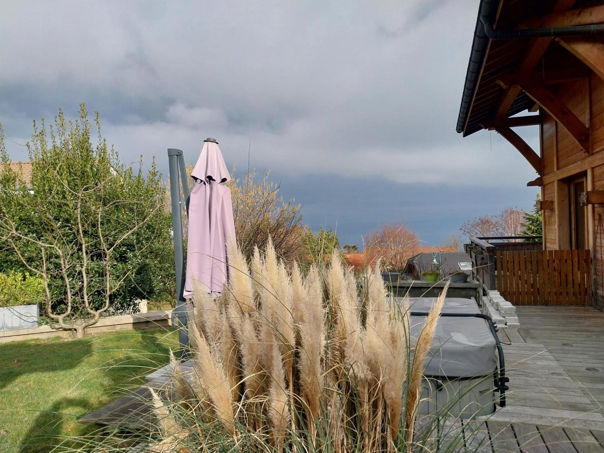 Le Chalet Des 3 Ours Neuvecelle Kültér fotó