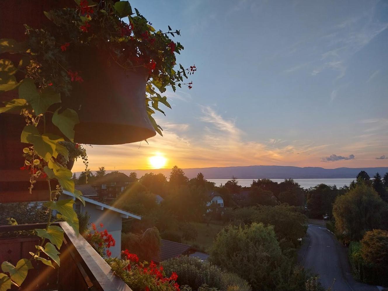 Le Chalet Des 3 Ours Neuvecelle Kültér fotó