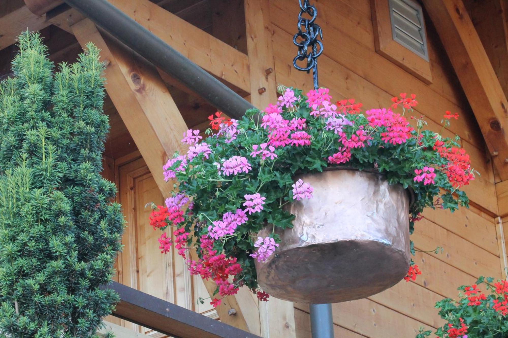 Le Chalet Des 3 Ours Neuvecelle Kültér fotó